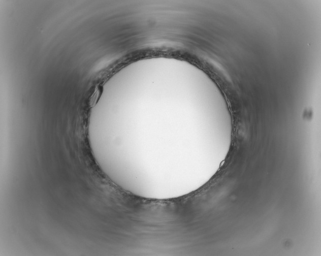 X0000090500869200708102238