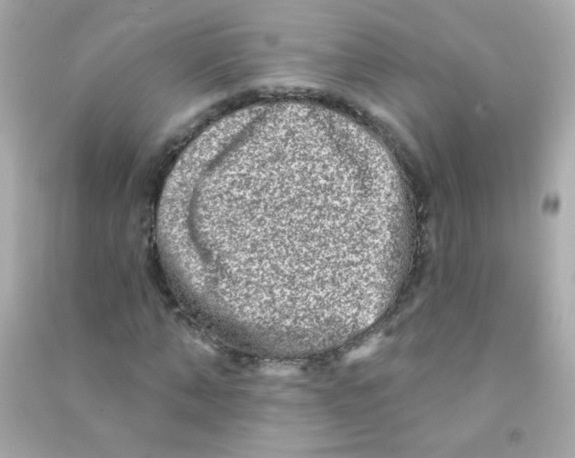 X0000090500870200708102238