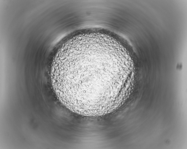 X0000090500871200708102238