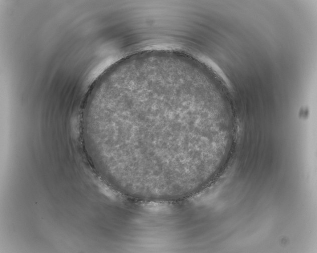 X0000090500874200708102238