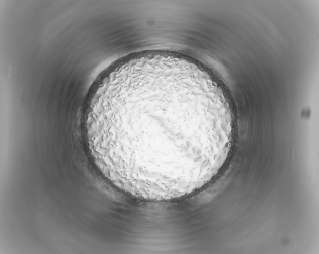 X0000090500875200708102238