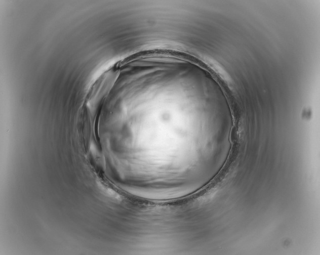 X0000090500877200708102238