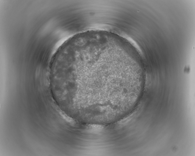 X0000090500878200708102238