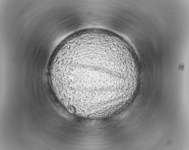 X0000090500879200708102238