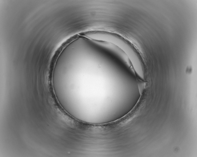 X0000090500880200708102238