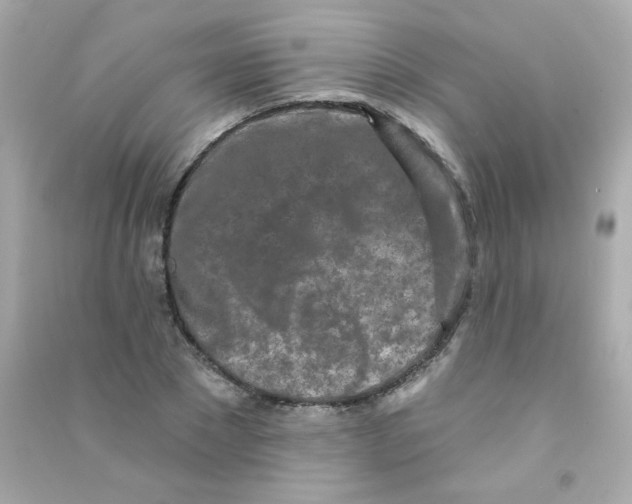 X0000090500881200708102238