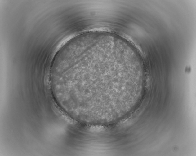X0000090500882200708102238