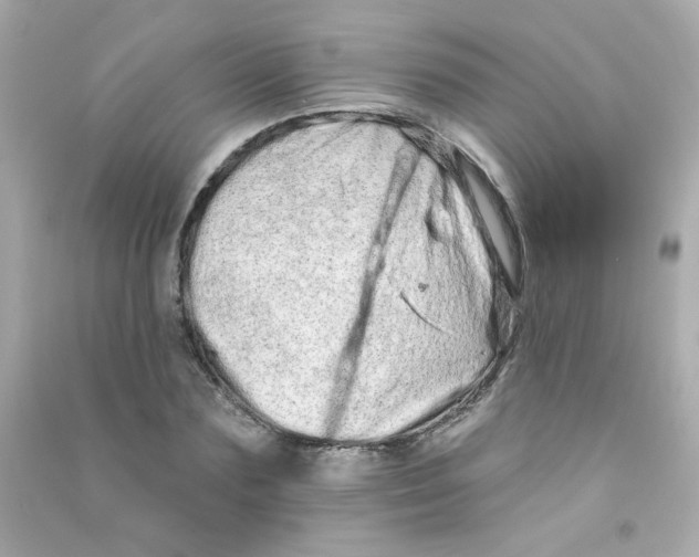 X0000090500883200708102238