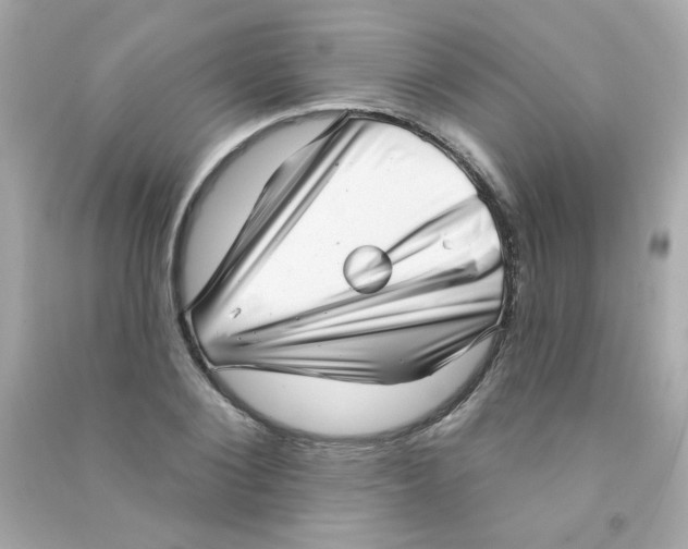 X0000090500884200708102238