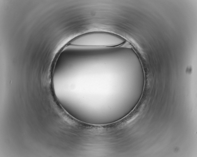 X0000090500885200708102238