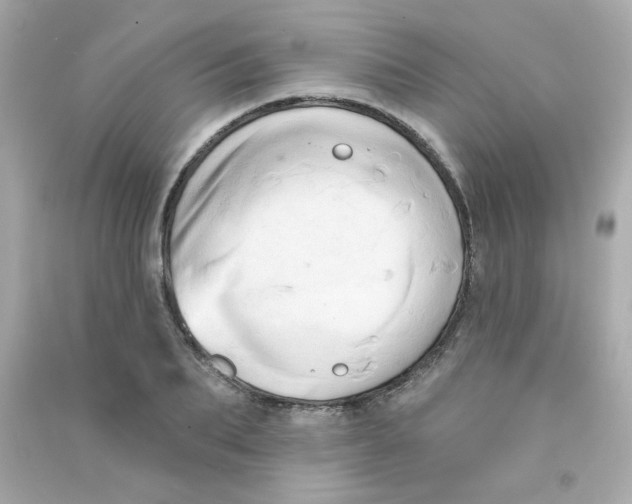 X0000090500887200708102238