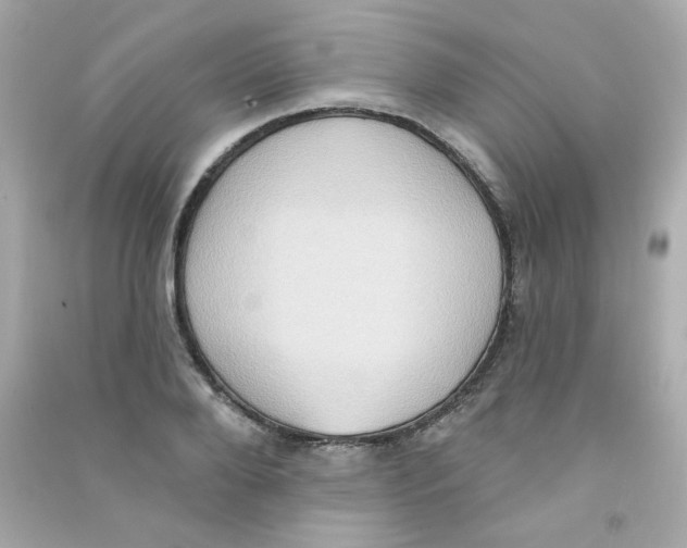 X0000090500888200708102238