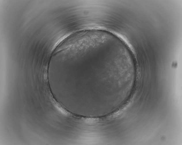 X0000090500889200708102238