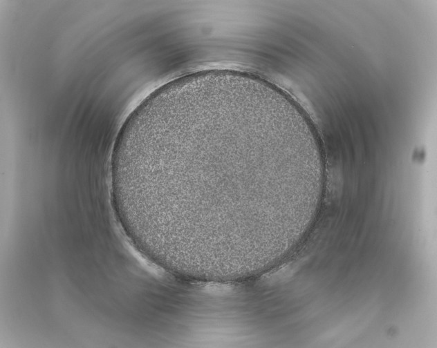 X0000090500890200708102238