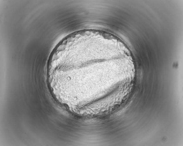 X0000090500891200708102238