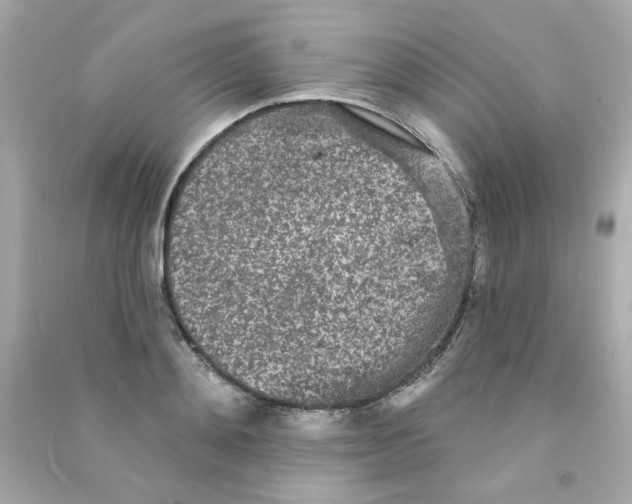 X0000090500892200708102238