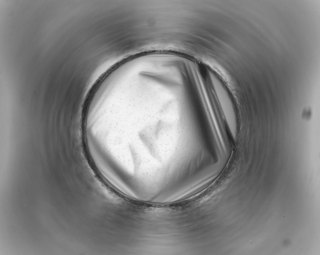 X0000090500894200708102238