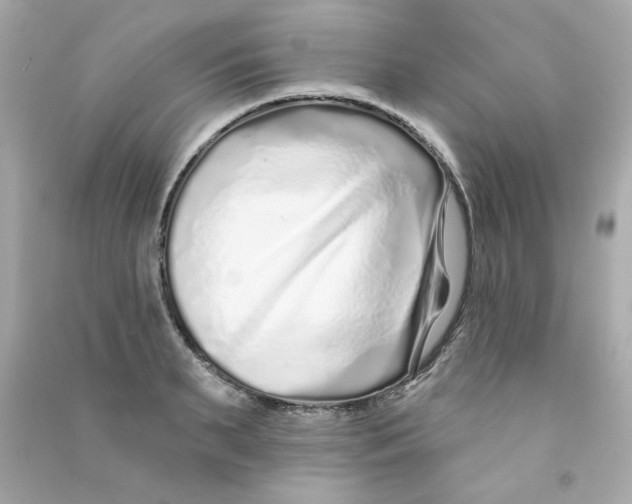X0000090500895200708102238
