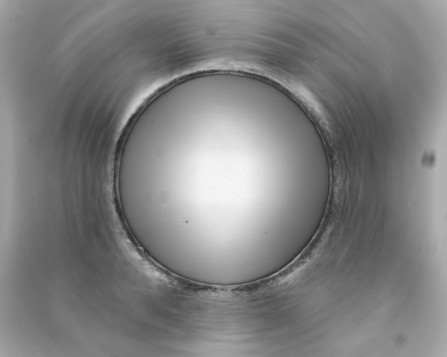 X0000090500896200708102238