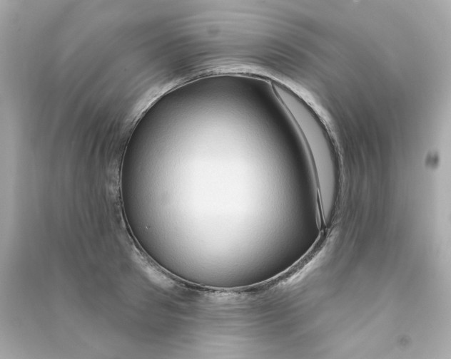 X0000090500897200708102238