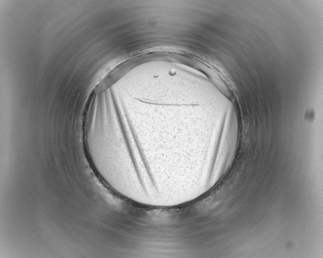 X0000090500898200708102238