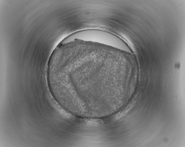 X0000090500899200708102238