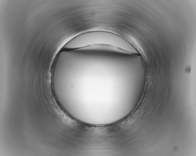 X0000090500900200708102238