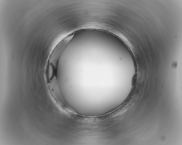 X0000090500901200708102238