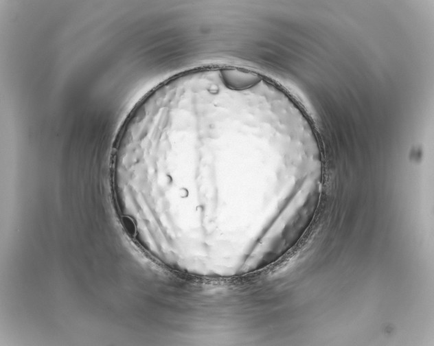 X0000090500903200708102238