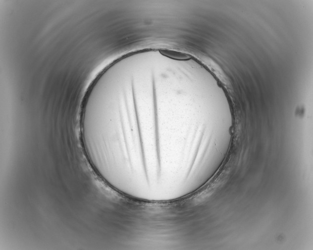 X0000090500904200708102238