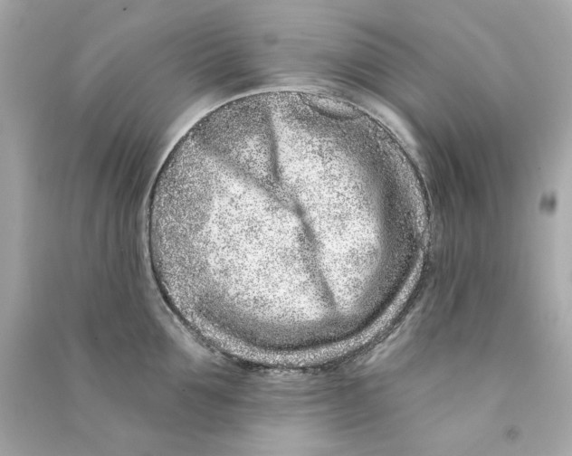 X0000090500907200708102238