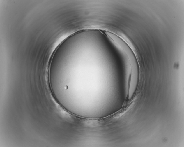 X0000090500909200708102238