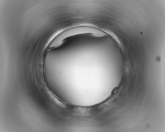 X0000090500910200708102238