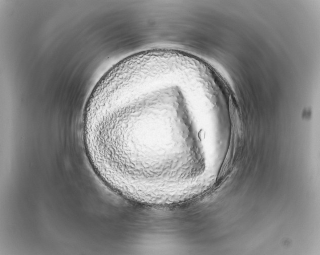 X0000090500911200708102238