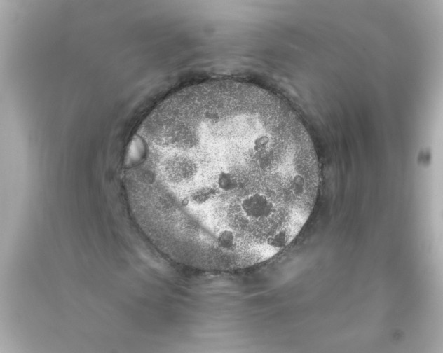 X0000090500913200708102237