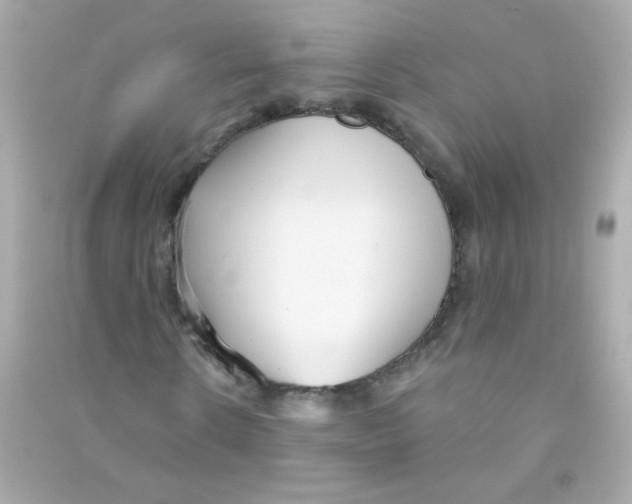 X0000090500914200708102237