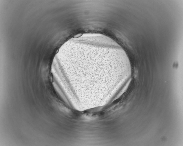 X0000090500915200708102237