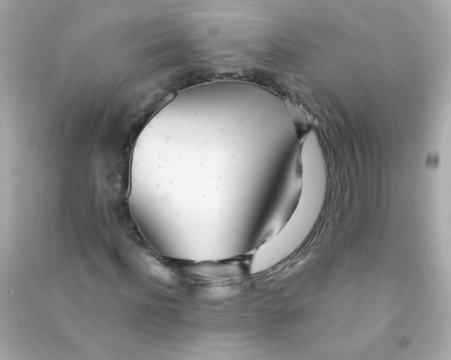 X0000090500916200708102237