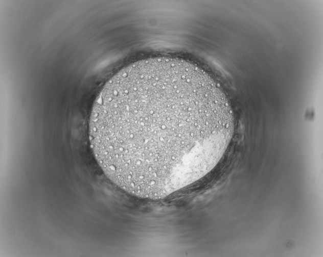 X0000090500917200708102237