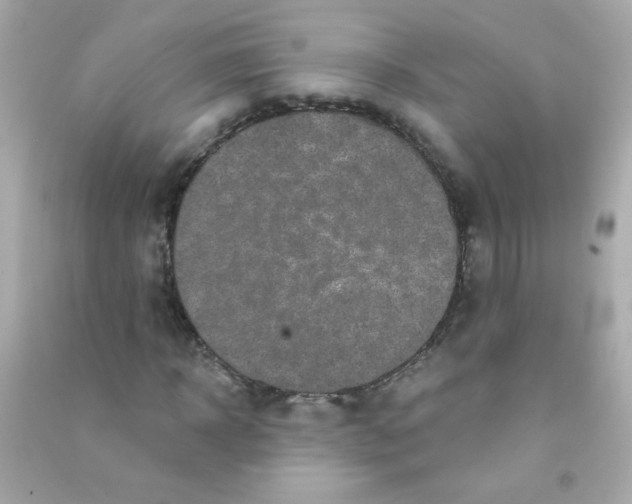 X0000090500918200708102237