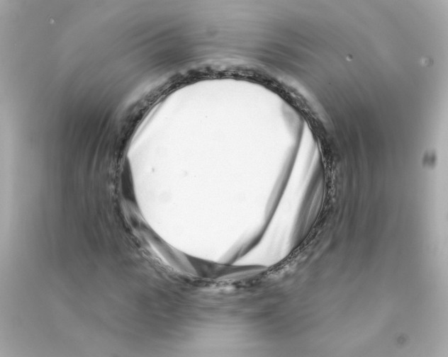 X0000090500919200708102237