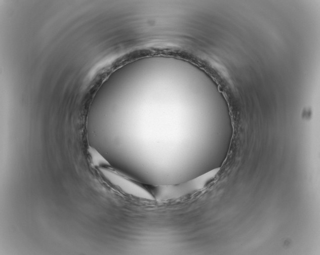 X0000090500920200708102237