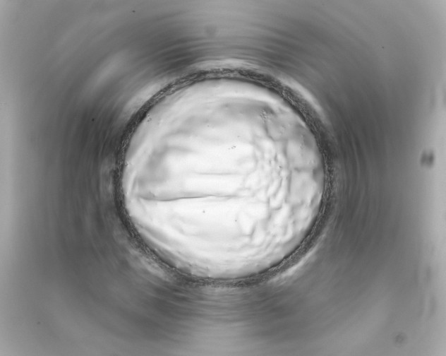 X0000090500921200708102237