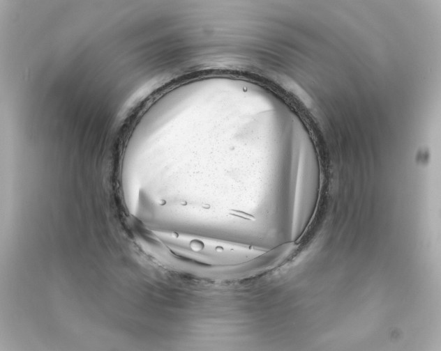 X0000090500922200708102237