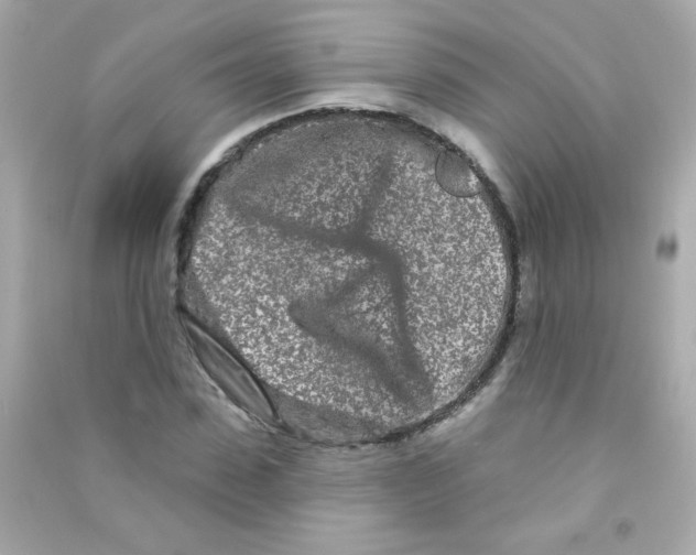 X0000090500923200708102237