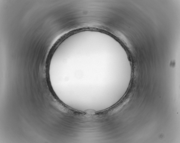 X0000090500924200708102237