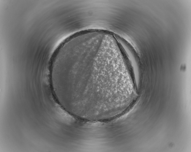 X0000090500926200708102237