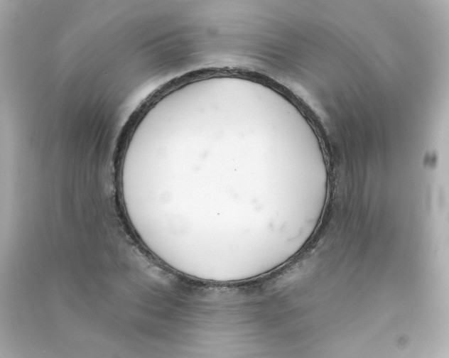 X0000090500927200708102237