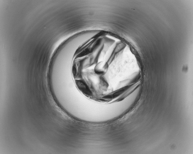 X0000090500928200708102237