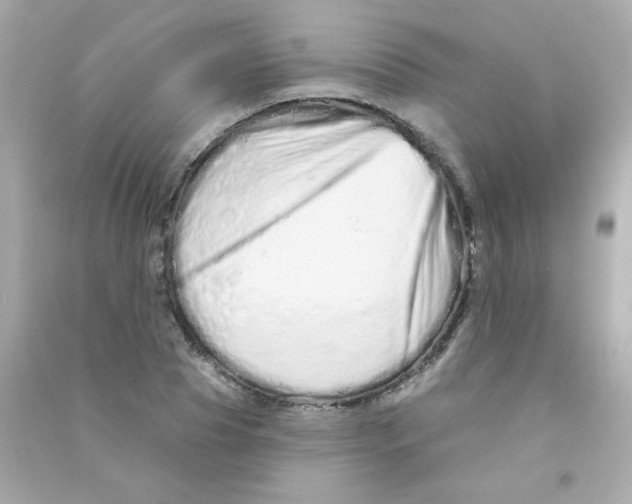 X0000090500929200708102237